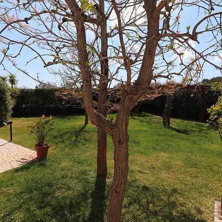 Diletta A 7 Posti Otranto