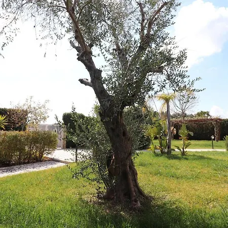 Diletta A 7 Posti Vila