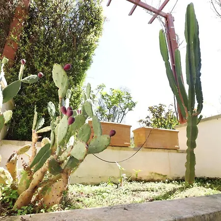 Diletta A 7 Posti Otranto